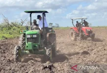 Papua Designated as Center of Indonesia’s Food Security Drive