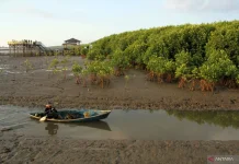 Indonesia Pushes Regional Climate Cooperation at UN ESCAP Forum
