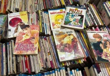 Japan Targets Global Piracy Losses with Support for Developing Nations