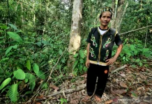 Govt Allocates 1.4M Ha Carbon Land for Customary Groups