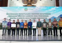 Indonesia Launches Forestry Carbon Hub to Boost Green Economy