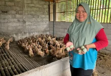 Kepulauan Seribu Turns Organic Waste Into Duck Feed to Boost Food Security