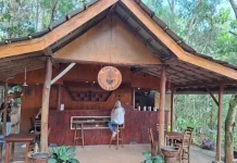 Sipping Warm Coffee in Pengger Pine Forest, (kurang berbobot)
