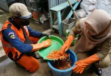 Biowash Becomes a Fast Solution for Processing Organic Waste in South Manggarai