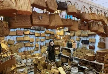 MSME Export Program Records USD 23.6 Million in Q1 Transactions