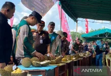 Bangka Belitung Durian Contest Targets Global Recognition