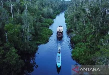 Indonesia Pushes Forestry Carbon Trading to Boost Protection, Community Welfare