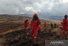 Wildfire Ravages Tambora Savanna, Threatening UNESCO Biosphere Reserve