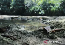 Dumaring Limestone Geosite Becomes National Model for Karst Conservation