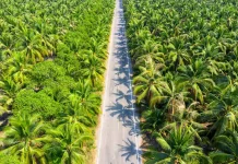 Nagan Raya Partners With Japanese Researchers on Sustainable Oil Palm Management