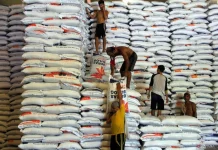 Indonesia Pursues Rice Export Deals with Malaysia and Singapore