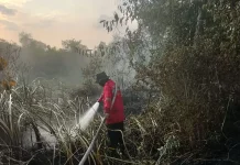 As Many as 321 Fires Hit South Sumatra as Dry Season Threat Grows