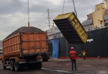 Global Trade Pressures Drive Indonesian Palm Oil Quality Improvements