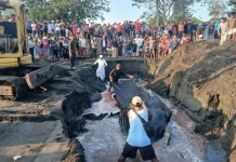 Seven-Meter Humpback Whale Strands and Dies on Jembrana’s Perancak Beach