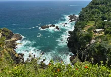 WALHI Calls for Urgent Policy Shift to Protect Java’s Environment (LIPUTAN)