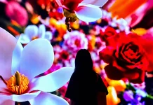 Indonesia Builds Immersive Digital Ecosystem for 81st Independence Day