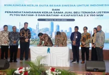 Batam Secures 300 MW Power Boost to Support Industrial Growth
