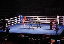 Indonesia Wins Boxing Gold, Earns Praise for Hosting Asian Championships