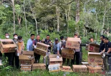 Authorities of Bakauheni Port Return 977 Confiscated Birds to Natural Habitat