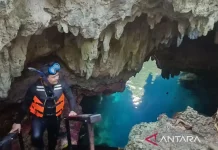 Halo Tabung Cave Draws Global Divers, Boosts Eco-Awareness