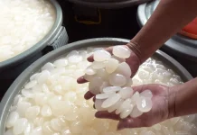Bengkulu Exports 22 Tons of Sugar Palm Fruit to Vietnam