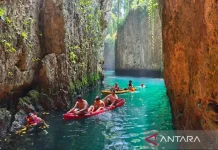 Gumantung Cave’s Brackish Lake Boosts Maratua Ecotourism