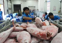 Joint Indonesia-China Inspections Boost Fishery Exports