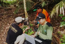 Indonesia Adopts Drone Tech for Forest Protection