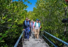 EU, Indonesia Expand Marine Conservation to Boost Coastal Livelihoods