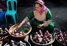 As Many as 361 Threatened Plant Species Conserved Across Five Botanical Gardens