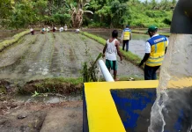 Completed Yamdena Irrigation to Help Farmers Harvest Three Times Yearly