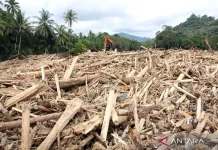 Spatial Planning Overhaul Proposed for Sumatra’s Vulnerable Areas