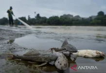 Banten Seals Three Unlicensed Factories Polluting Cisadane River