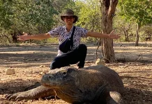 UGM Study Reveals Parasite Threats Facing Wild Komodo Dragons