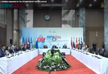Indonesian House Calls for ASEAN-Wide Cyber Defense Strategy