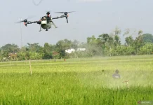 Govt Encourages Youth to Strengthen National Agricultural Sector