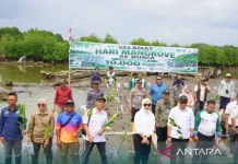 East Kalimantan Intensifies Mangrove Rehabilitation in Kukar and Balikpapan