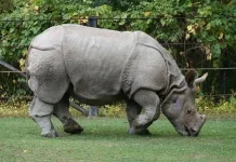 Government Launches Financial Tool for Ecosystem Protection