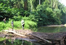 Indonesia Strengthens Conservation Diplomacy at World Heritage Committee