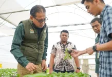 Indonesia Strengthens Food Safety Standards to Boost Horticultural Exports