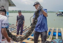 Batam Fisheries Exports Accelerated Through Licensing Integration