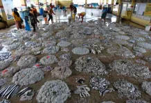 Fuel Distribution Supervised to Ensure Fishermen Receive Subsidized Diesel