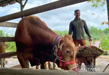 East Kalimantan Forms 23 Livestock Cooperatives to Boost Farmers’ Independence