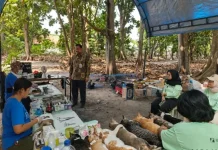 Thousand Islands Launches Humane Cat Sterilization Drive on Pari Island