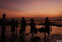 East Nusa Tenggara to Build Five Integrated Seaweed Clusters