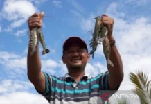 East Kalimantan Seafood Exports Hit IDR 192.9 Billion in 2026