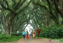 Banyuwangi-InJourney Partner to Boost Global Tourism