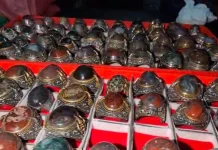 Batu Pulaki Earns Geographical Indication Status in Buleleng