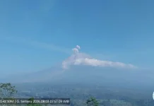 Mount Semeru Erupts Five Times, Ash Reaches 700 Meters