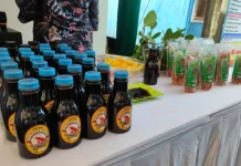 Kukar's SME Turn Shrimp and Mangrove Waste into Profitable Snacks